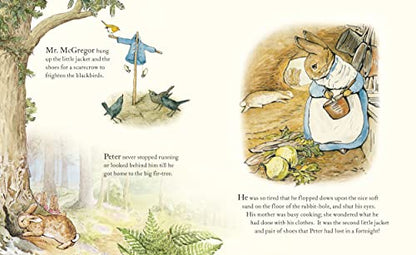 The Tale of Peter Rabbit Picture Book