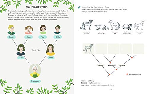 Evolution Colouring and Activity Book