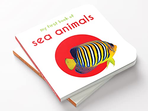 My First Book Of Sea Animals | Ages 0–3 Years | Ocean Animals | Board Book For Kids | Fish | Dolphins | Whales | Bright Pictures | Vocabulary Building | Toddlers & Preschoolers | Latest Edition