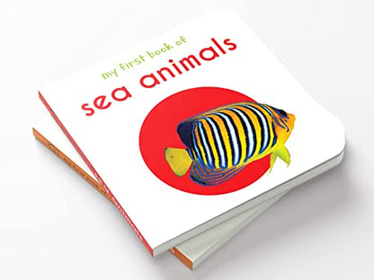 My First Book Of Sea Animals | Ages 0–3 Years | Ocean Animals | Board Book For Kids | Fish | Dolphins | Whales | Bright Pictures | Vocabulary Building | Toddlers & Preschoolers | Latest Edition