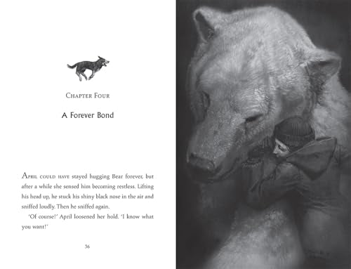 The Lone Husky: New for 2025, a brand new Arctic adventure from the Sunday Times best-selling author of THE LAST BEAR