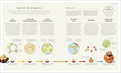 The Science of Baking: Everything You Need to Know to Create Perfect Sweet and Savoury Bakes, Every Time (The Science of Food)