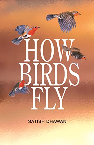HOW BIRDS FLY book cover