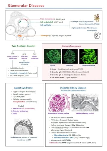 Core BTR 3.0 Official Annotated Notes Complete Set Vol 1 2 3 for NEET PG INI CET FMGE 2026 Spiral Bound Colour Edition...