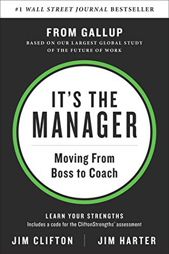 ItS The Manager book cover