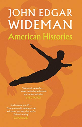 American Histories book cover