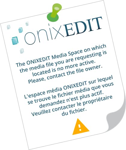 Disney Return to the Isle of the Lost: A Descendants Novel book cover