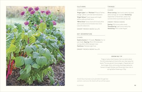 Grow Together: 50 Planting Partnerships to Boost Your Harvests