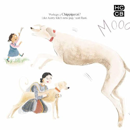 Little Book Of Indian Dogs: A Giftable Book