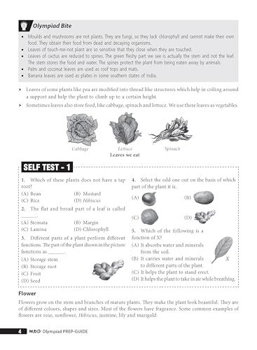 MTG Science (ISO) Olympiad Prep Guide Class 3 | Detailed Theory, Exercise with Self Test For Practice | SOF Olympiad Books For Exam 2026-27 (Useful For Level-1 & 2)