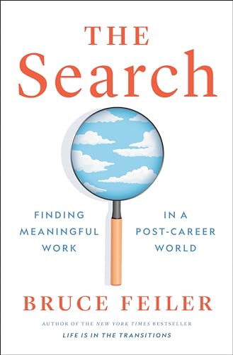The Search: Finding Meaningful Work in a Post-Career World book cover