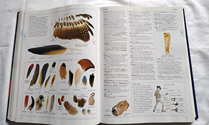 Illustrated Oxford Dictionary