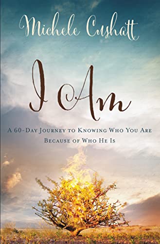 I Am: A 60-Day Journey to Knowing Who You Are Because of Who He Is book cover