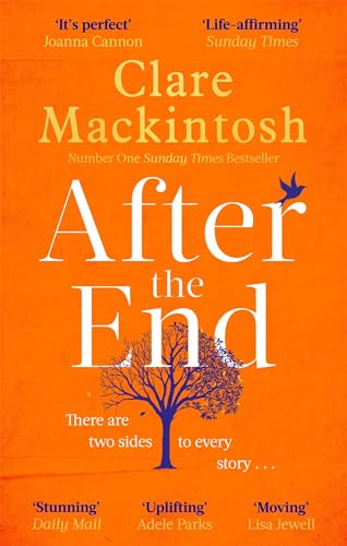 After the End book cover