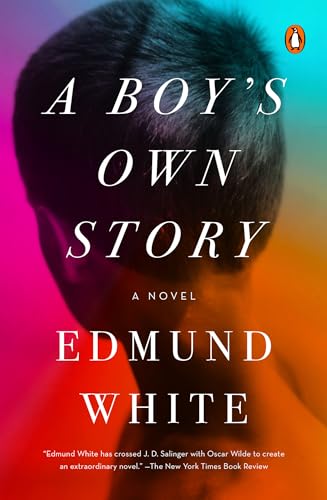 BoyS Own Story, A : A Novel book cover