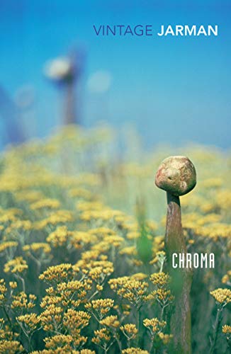 Chroma : A Book of Colour - June 93 book cover