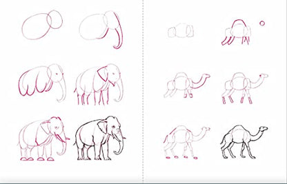 Draw 50 Animals: The Step-by-Step Way to Draw Elephants, Tigers, Dogs, Fish, Birds, and Many More...