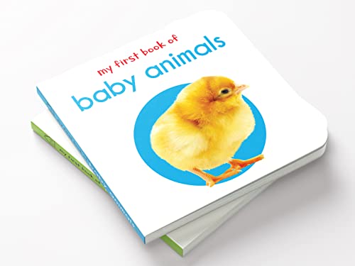 My First Book of Baby Animals | First Animal Board Book for Babies, Toddlers & Preschoolers | Learn About Cute Baby Animals with Bright, Adorable Pictures | Early Learning Book for Kids Ages 0-3 Years