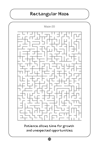 Mazes Book for Brilliant Minds - Brain Puzzles for Adults - Advance Level - Activity Book for Adults - Brain Games for Grown Ups and Seniors - ... - Brain Relaxing Mazes - Best for Gifting