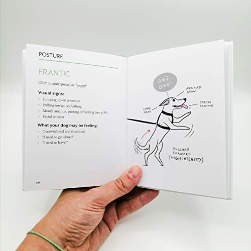 DOGGIE LANGUAGE - A DOG LOVER'S GUIDE TO UNDERSTANDING YOUR BEST FRIEND