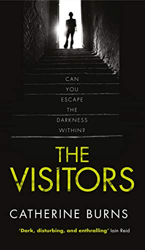 The Visitors book cover