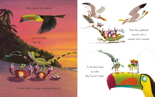 The Turtle Who Turned the Tide: From The World of Rachel Bright & Jim Field