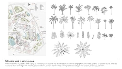 Palms for India: Palm Trees Guide for Home & Landscape