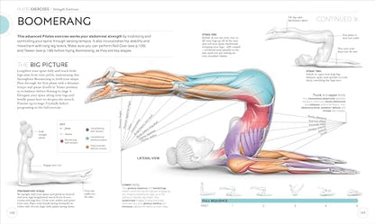 Science of Pilates: Understand the Anatomy and Physiology to Perfect Your Practice