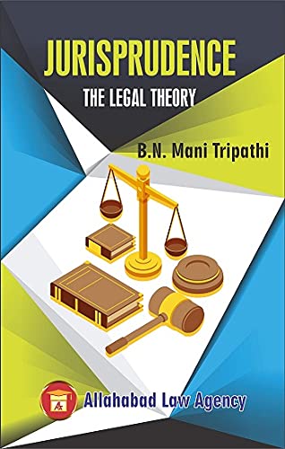 Human Rights & International Law Paperback – 1 January 2009 book cover