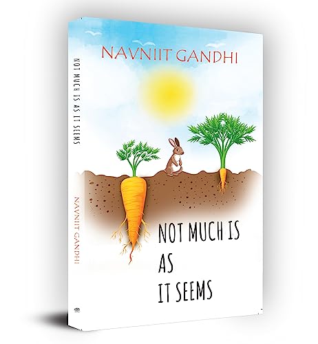 Not Much Is As It Seems by Navniit Gandhi