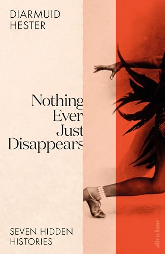 Nothing Ever Just Disappears book cover
