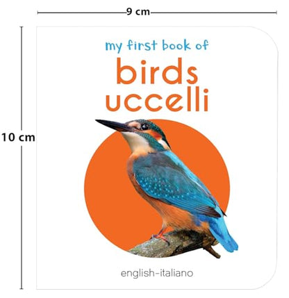 My First English-Italiano Learning Library (la mia prima biblioteca delle parole Inglese-Italiano) : Boxset of 10 English - Italian Board Books