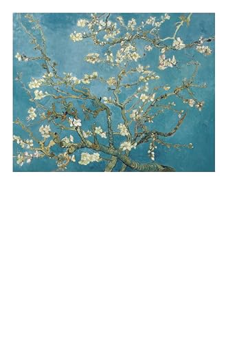 Vincent van Gogh: 50 Masterpieces Explored (The Masters Art Decks)