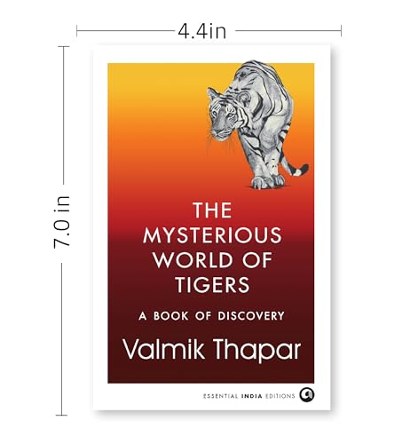 The Mysterious World of Tigers: A Book of Discovery