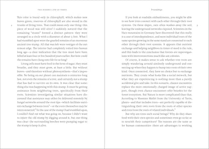 The Hidden Life of Trees: What They Feel, How They Communicate-- Discoveries from a Secret World: 1 (The Mysteries of Nature, 1)