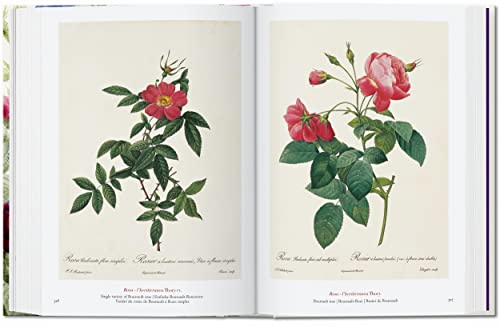 Taschen Bk Of Flowers