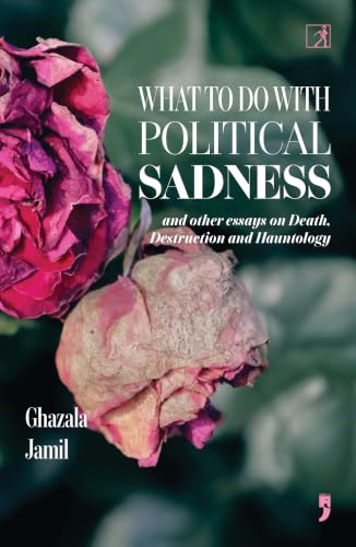 What to Do with Political Sadness: And other Essays on Death, Destruction and Hauntology