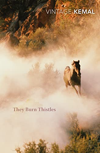 They Burn Thistles book cover