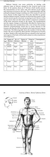 Anatomy of Marma (Vital Parts or Organs)