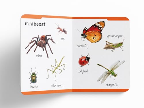 Early Learning Padded Board Book Of Animals For Kids | Ages 0–5 Years | Wild Animals | Farm Animals | Pets | Birds | Vocabulary Building | Bright Pictures | Toddlers | Preschoolers | Latest Edition