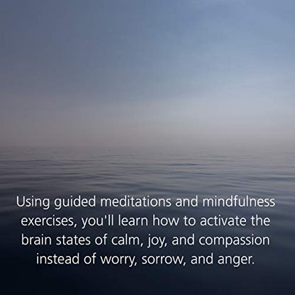Buddha's Brain: The Practical Neuroscience of Happiness, Love & Wisdom
