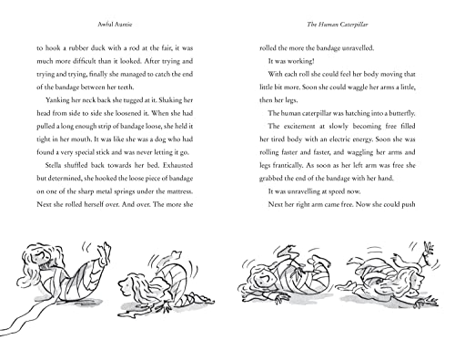 Awful Auntie: A book by David Walliams