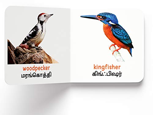My First Book of Birds - Paravaigal : My First English Tamil Board Book