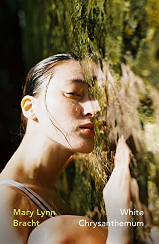 White Chrysanthemum book cover