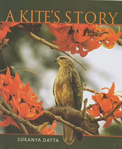 A Kite's Story book cover
