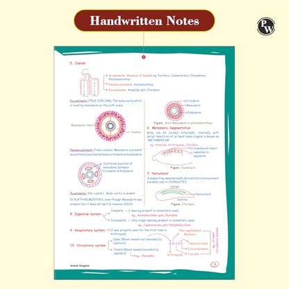 PW Zoology Med Easy For NEET and Board Exams 2024-25 | Flowcharts, Schematic Diagrams Samapti Sinha Mahapatra Handwritten Notes [Paperback] Samapti Sinha Mahapatra
