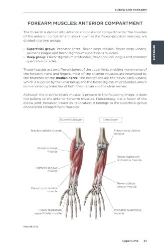 Kenhub Atlas of Human Anatomy