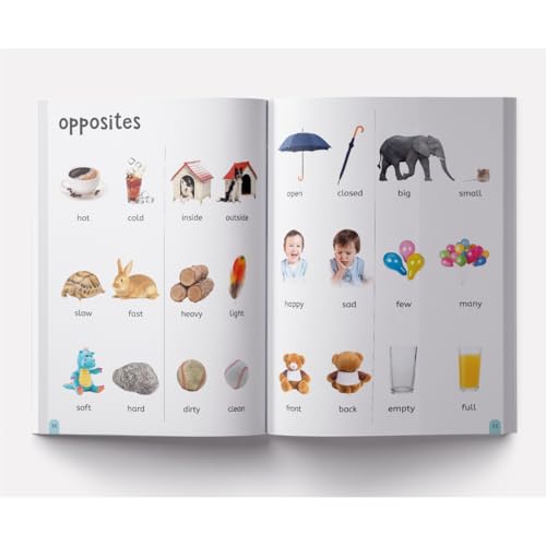My First 500 Words For Kids | Age 2–6 Years | Early Learning | Picture Book | Alphabet | Numbers | Shapes & Colours | Animals | Toddler & Preschooler | Vocabulary Building | Paperback | Latest Edition