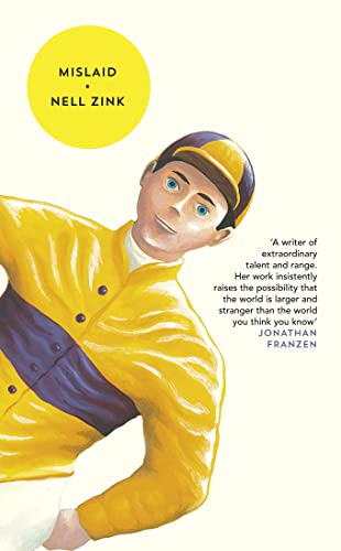 MISLAID book cover