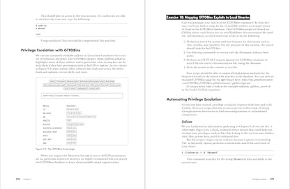 BLACK HAT BASH: Creative Scripting for Hackers and Pentesters